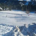 Alex Parkplatz Winterurlaub * دورنبيرن