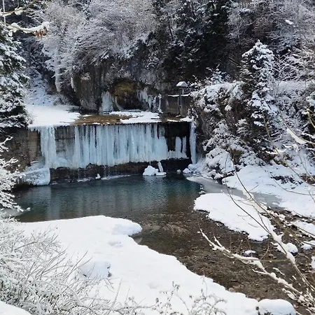 Alex Parkplatz Winterurlaub شقة دورنبيرن