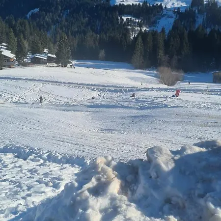 Alex Parkplatz Winterurlaub * دورنبيرن